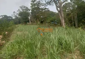 Foto 1 de Lote/Terreno à venda, 5000m² em Capelinha, Guarulhos