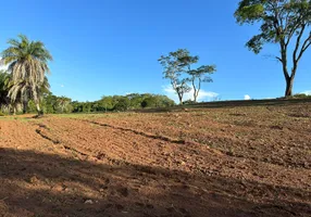 Foto 1 de Fazenda/Sítio à venda em Zona Rural, Goianápolis