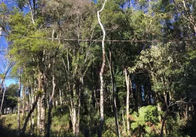 Foto 1 de Lote/Terreno à venda, 805m² em Floresta, Gramado