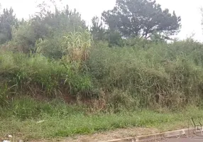 Foto 1 de Lote/Terreno à venda em Rondônia, Novo Hamburgo