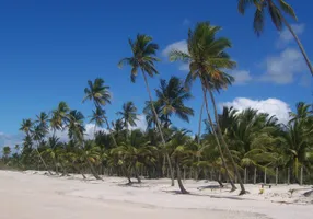 Foto 1 de Lote/Terreno à venda, 400000m² em Aritagua, Ilhéus