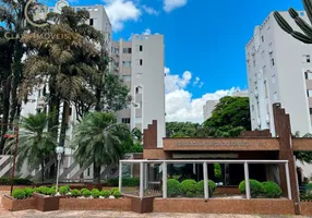 Foto 1 de Apartamento com 3 Quartos à venda, 70m² em Claudia, Londrina