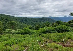 Foto 1 de Lote/Terreno à venda, 20000m² em , Linha Nova