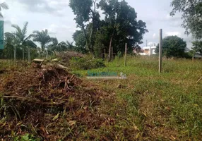 Foto 1 de Lote/Terreno à venda, 243m² em Salgado Filho, Gravataí