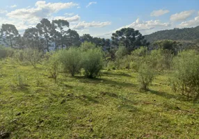 Foto 1 de Lote/Terreno à venda, 20000m² em Zona Rural, Urubici