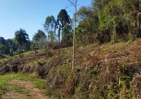 Foto 1 de Fazenda/Sítio à venda, 20062m² em Itambe, Campo Largo