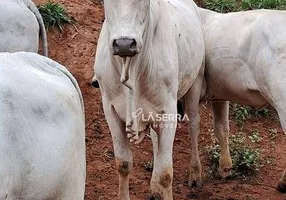 Foto 1 de Fazenda/Sítio à venda, 919600m² em Secretário, Petrópolis