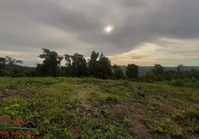 Foto 1 de Lote/Terreno à venda, 24000m² em Picada Holanda, Picada Café