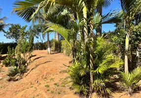 Foto 1 de Fazenda/Sítio com 2 Quartos à venda, 200m² em Residencial Recanto das Oliveiras, Senador Canedo