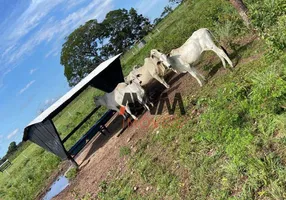 Foto 1 de Fazenda/Sítio à venda, 25180584m² em Zona Rural, Conceição do Tocantins