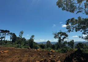 Foto 1 de Fazenda/Sítio à venda, 20000m² em , Urubici