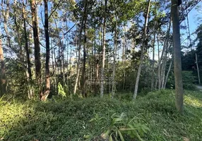 Foto 1 de Lote/Terreno à venda, 2300m² em Quarteirão Ingelhein, Petrópolis