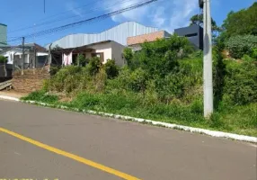 Foto 1 de Lote/Terreno à venda, 1650m² em Rondônia, Novo Hamburgo