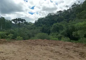 Foto 1 de Lote/Terreno à venda, 250m² em Conceicao da Ibitipoca, Lima Duarte