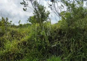 Foto 1 de Lote/Terreno à venda, 1002m² em Mirante da Mata, Nova Lima