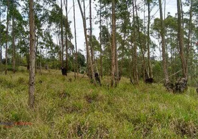 Foto 1 de Lote/Terreno à venda, 7000m² em Jardim Europa, Vargem Grande Paulista