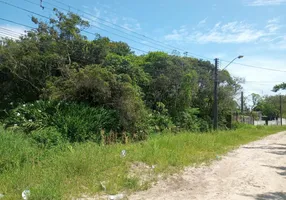 Foto 1 de Lote/Terreno à venda, 160m² em Gaviotas, Itanhaém