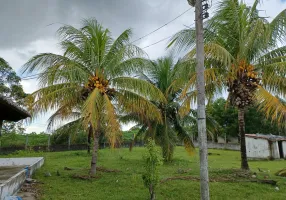 Foto 1 de Fazenda/Sítio com 3 Quartos para venda ou aluguel, 300000m² em Centro, Taipu