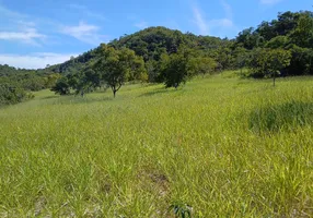 Foto 1 de Fazenda/Sítio à venda, 400000m² em Setor Central, Goiás