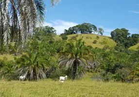 Foto 1 de Fazenda/Sítio com 3 Quartos à venda, 550m² em Zona Rural , Morrinhos