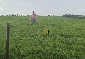 Foto 1 de Fazenda/Sítio à venda, 19021200m² em Centro, Santa Rita do Araguaia