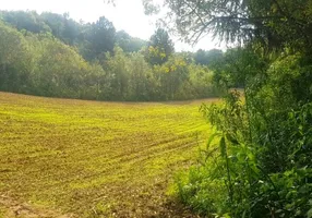 Foto 1 de Lote/Terreno à venda, 48400m² em Colônia Balbino Cunha, Campo Largo