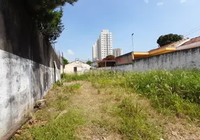 Foto 1 de Lote/Terreno para venda ou aluguel, 500m² em Vila Ré, São Paulo