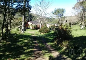 Foto 1 de Fazenda/Sítio com 3 Quartos à venda, 20000m² em Desvio Rizzo, Caxias do Sul