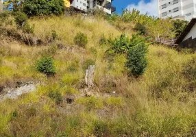 Foto 1 de Lote/Terreno à venda, 335m² em Santa Lúcia, Belo Horizonte