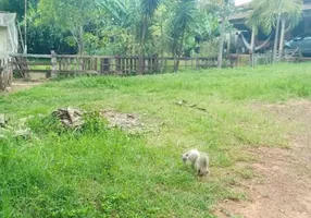 Foto 1 de Fazenda/Sítio com 3 Quartos à venda, 20000m² em Setor Leste, Brasília