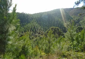 Foto 1 de Fazenda/Sítio com 2 Quartos à venda, 2213440m² em , Tunas do Paraná