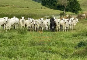 Foto 1 de Fazenda/Sítio com 4 Quartos à venda, 78m² em Centro, Rio das Flores