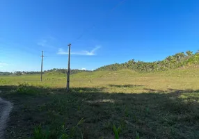 Foto 1 de Fazenda/Sítio à venda em , Itapecuru Mirim