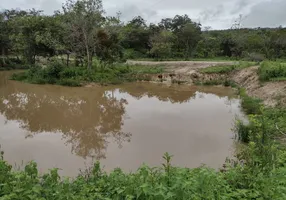 Foto 1 de Lote/Terreno à venda, 20000m² em Centro, Fortuna de Minas