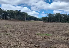 Foto 1 de Fazenda/Sítio à venda, 196000m² em Centro, Campo do Tenente