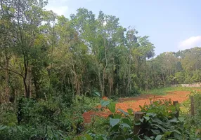 Foto 1 de Lote/Terreno à venda em Piratuba, Ibiúna