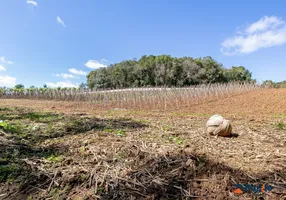 Foto 1 de Fazenda/Sítio com 1 Quarto à venda, 56643m² em Ferraria, Campo Largo