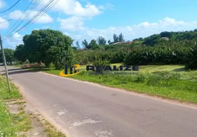 Foto 1 de Fazenda/Sítio com 5 Quartos à venda, 290m² em Gargau, São Francisco de Itabapoana