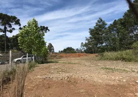 Foto 1 de Lote/Terreno à venda em Desvio Rizzo, Caxias do Sul