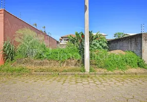 Foto 1 de Lote/Terreno à venda, 290m² em Belmira Novaes, Peruíbe