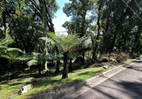 Foto 1 de Lote/Terreno à venda, 1096m² em Centro, Gramado