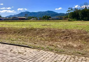 Foto 1 de Lote/Terreno à venda, 450m² em Centro, Rio dos Cedros