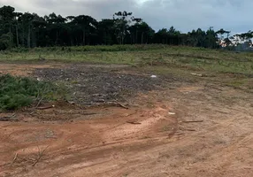 Foto 1 de Lote/Terreno à venda, 11000m² em Lençol, São Bento do Sul