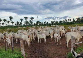 Foto 1 de Fazenda/Sítio à venda em , Penalva