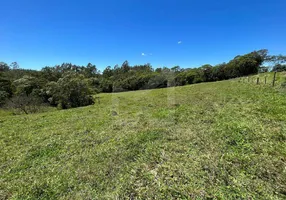 Foto 1 de Fazenda/Sítio com 3 Quartos à venda, 60m² em , Treze de Maio