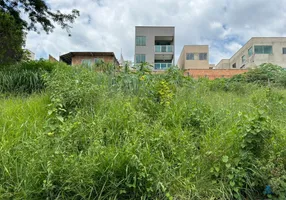 Foto 1 de Lote/Terreno à venda, 300m² em Liberdade, Santa Luzia