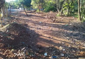 Foto 1 de Lote/Terreno à venda, 28420m² em Valentina Figueiredo, Ribeirão Preto