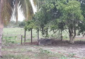 Foto 1 de Fazenda/Sítio com 3 Quartos à venda, 27000m² em Trairas, Macaíba