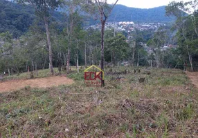 Foto 1 de Lote/Terreno à venda, 8949m² em Ipiranguinha, Ubatuba