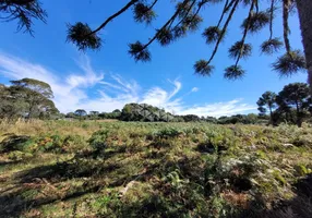 Foto 1 de Fazenda/Sítio com 1 Quarto à venda, 500000m² em Zona Rural, São Francisco de Paula